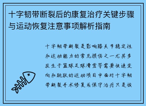 十字韧带断裂后的康复治疗关键步骤与运动恢复注意事项解析指南